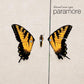 Brand New Eyes - Vinyl LP