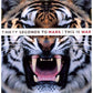 This Is War [LP and CD] - Vinyl LP