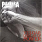 Vulgar Display of Power - Vinyl LP 180 Gram