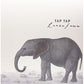 Lanzafame - Vinyl LP