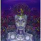 New Amerykah Part Two: Return of the Ankh - Vinyl LP