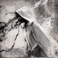 Psalm of the Grand Destroyer - Limited Edition Vinyl LP 180 Gram