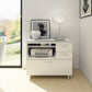 BDI Centro 6417 Multifunction Cabinet (White)