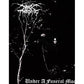 Under A Funeral Moon - Vinyl LP