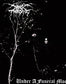 Under A Funeral Moon - Vinyl LP