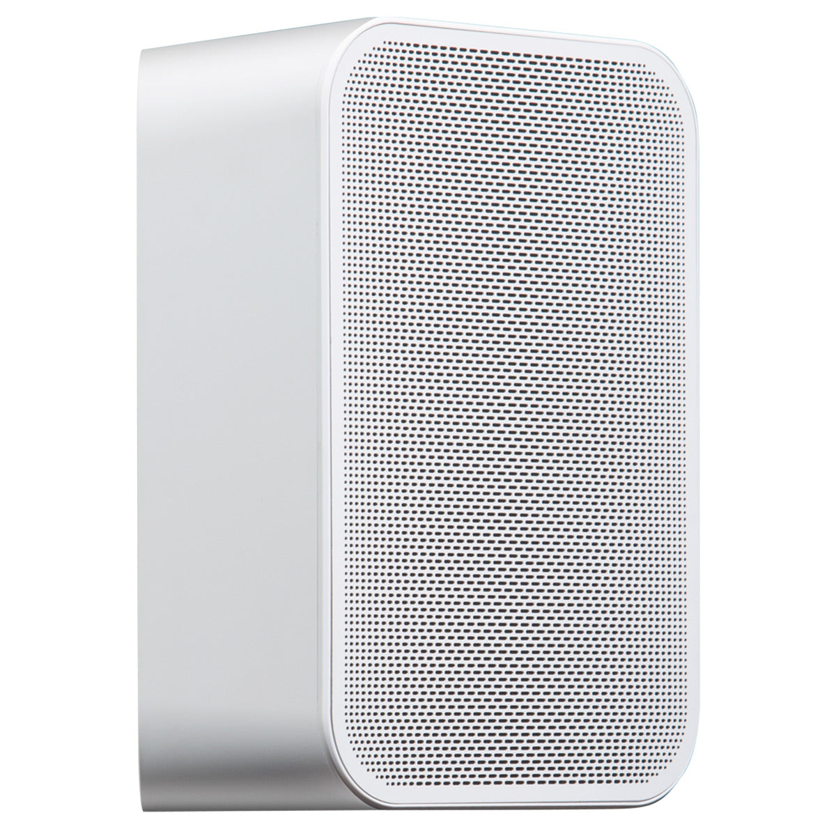 Bluesound PULSE FLEX 2i Portable Wireless Multi-Room Smart Speaker with Bluetooth, Compatible with Alexa and Siri - Each (White)