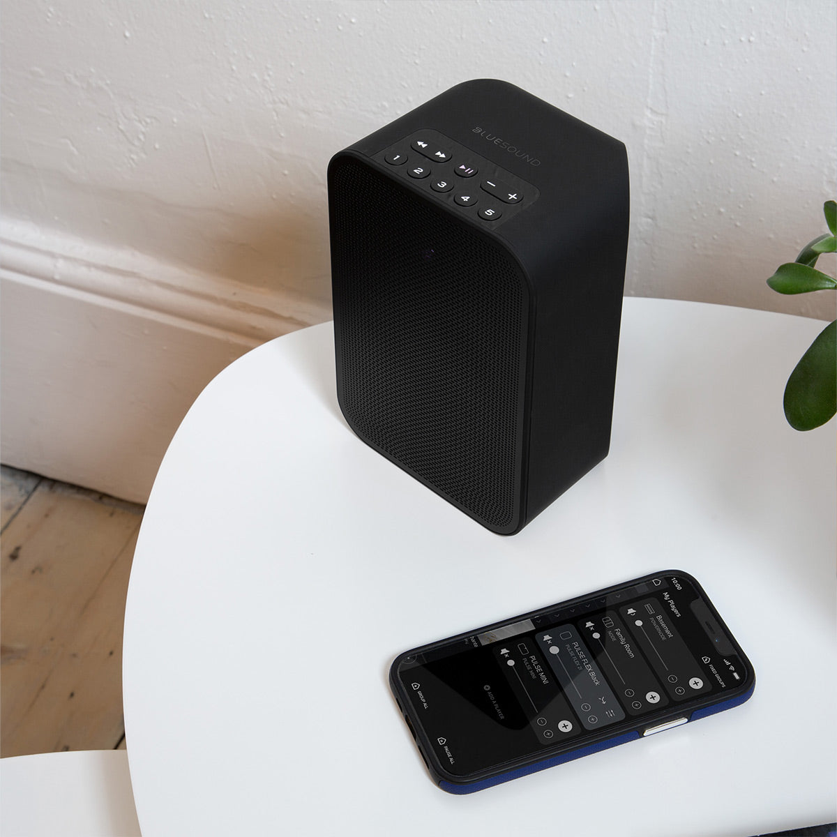 Bluesound PULSE FLEX 2i Portable Wireless Multi-Room Smart Speaker with Bluetooth, Compatible with Alexa and Siri - Each (Black)