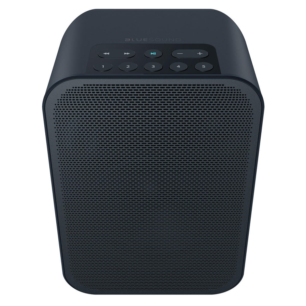 Bluesound PULSE FLEX 2i Portable Wireless Multi-Room Smart Speaker with Bluetooth, Compatible with Alexa and Siri - Each (Black)