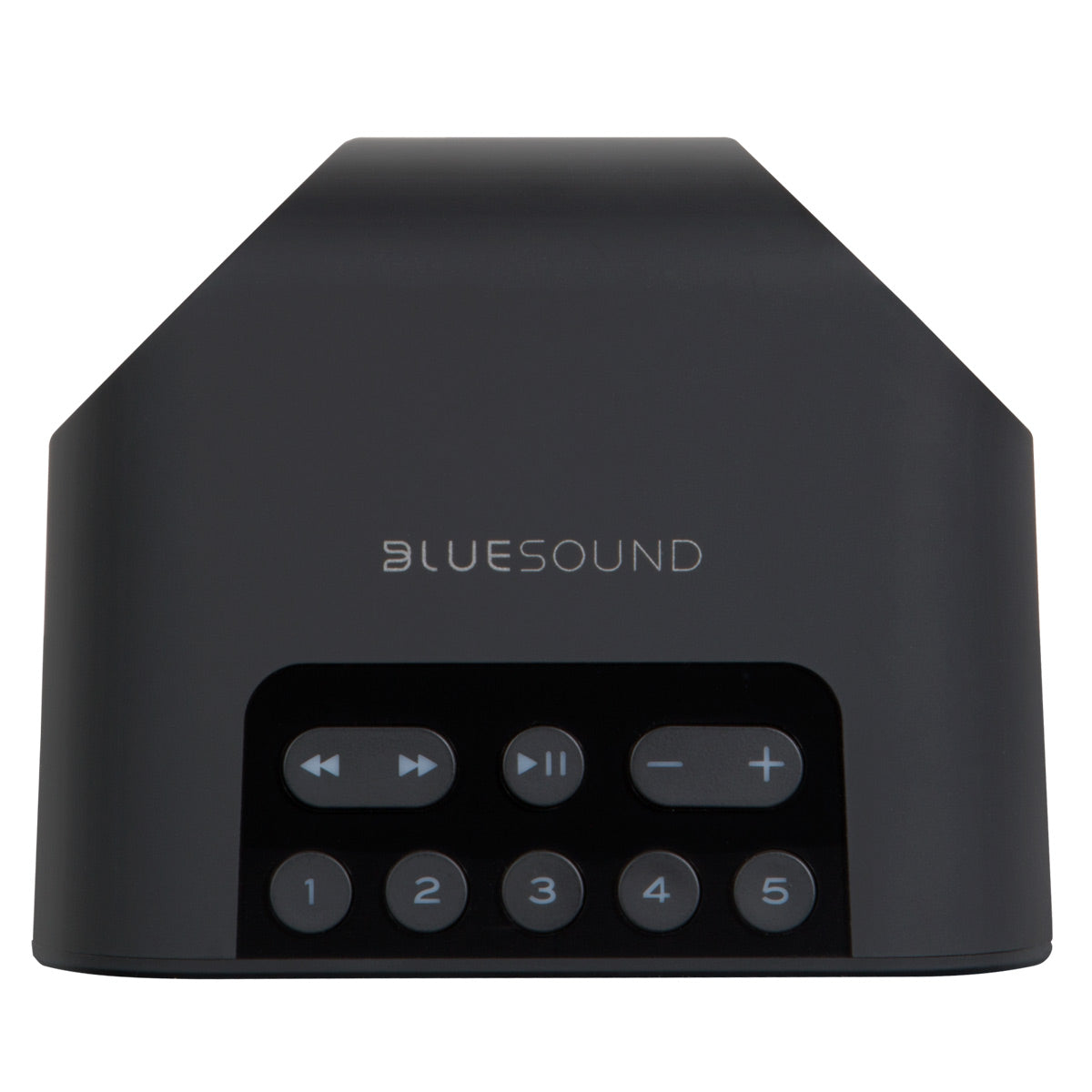 Bluesound PULSE FLEX 2i Portable Wireless Multi-Room Smart Speaker with Bluetooth, Compatible with Alexa and Siri - Each (Black)