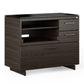 BDI Sequel 20 6117 Multifunction Cabinet (Charcoal/Black)