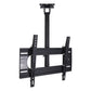 Seura Short Arm Outdoor TV Ceiling Mount (Black)
