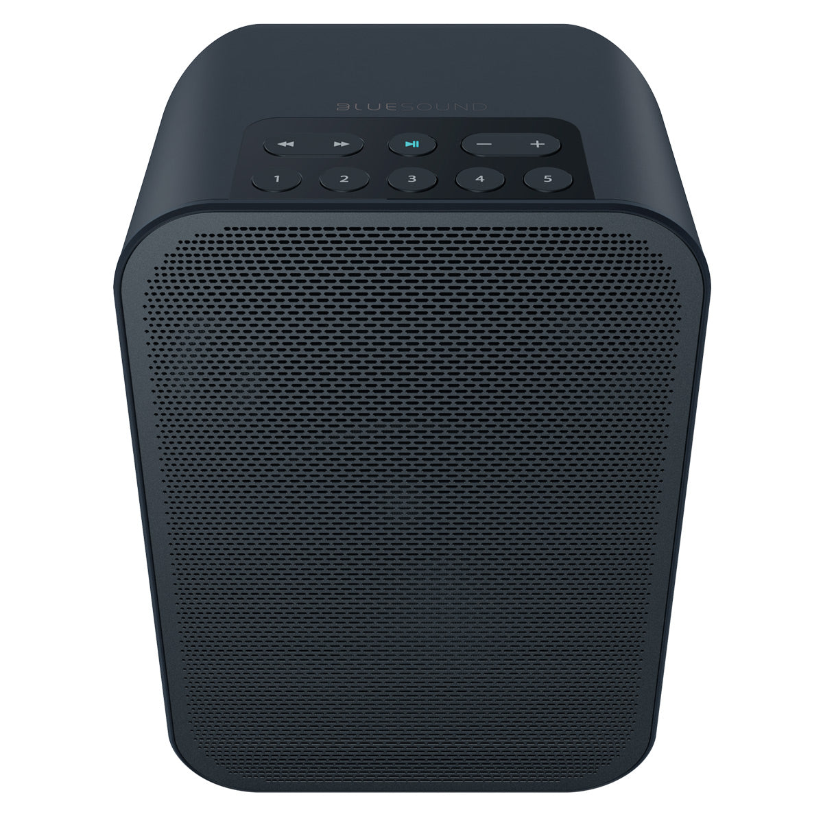 Bluesound PULSE FLEX 2i Portable Wireless Multi-Room Smart Speaker with Bluetooth, Compatible with Alexa and Siri - Pair (Black)