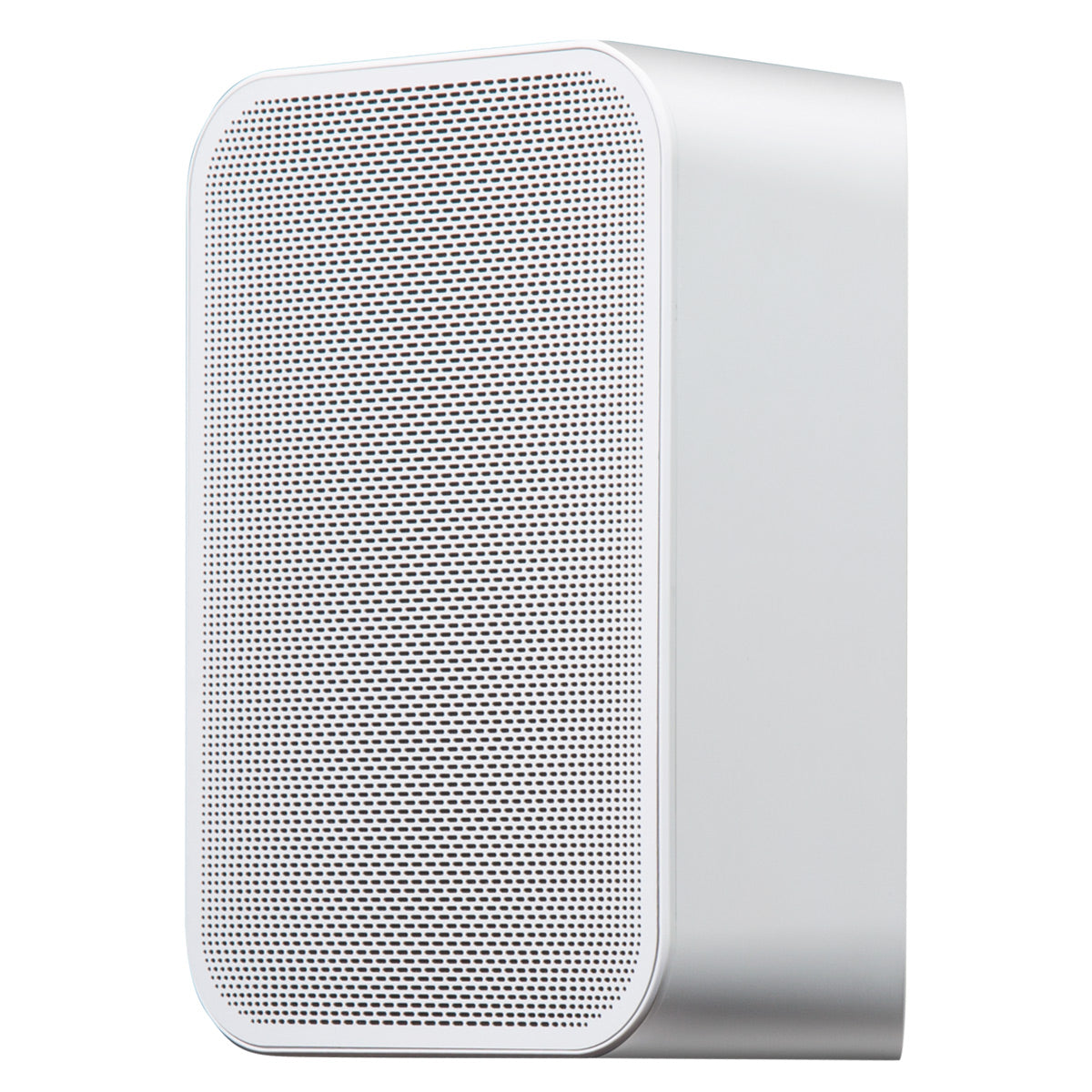 Bluesound PULSE FLEX 2i Portable Wireless Multi-Room Smart Speaker with Bluetooth, Compatible with Alexa and Siri - Pair (White)