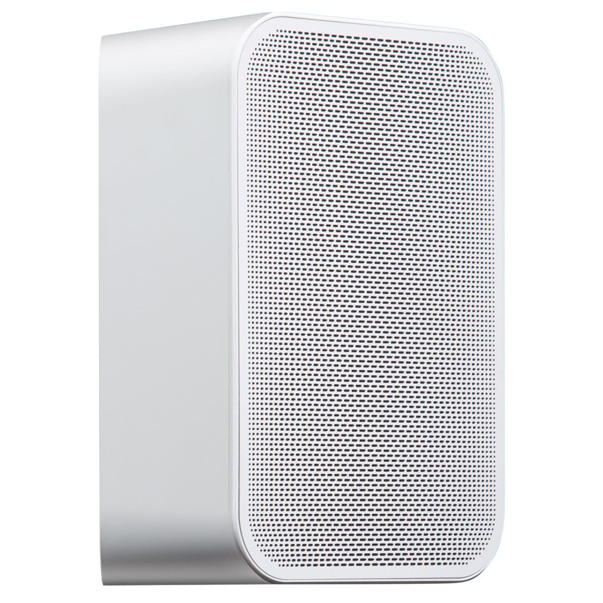 Bluesound PULSE FLEX 2i Portable Wireless Multi-Room Smart Speaker with Bluetooth, Compatible with Alexa and Siri - Pair (White)