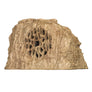 Sandstone