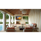 Furrion Aurora 55" Partial Sun Smart 4K Ultra-High Definition LED Outdoor TV with IP54 Weatherproof Protection