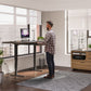 BDI Sequel 20 6151 Standing Desk (Walnut/Nickel)