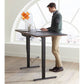BDI Sequel 20 6151 Standing Desk (Walnut/Nickel)