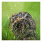 iHome iHRK-400MOBC-PR Rechargeable Bluetooth Outdoor Mossy Oak Break-up Country Camo Rock Speakers with TWS Linking - Pair