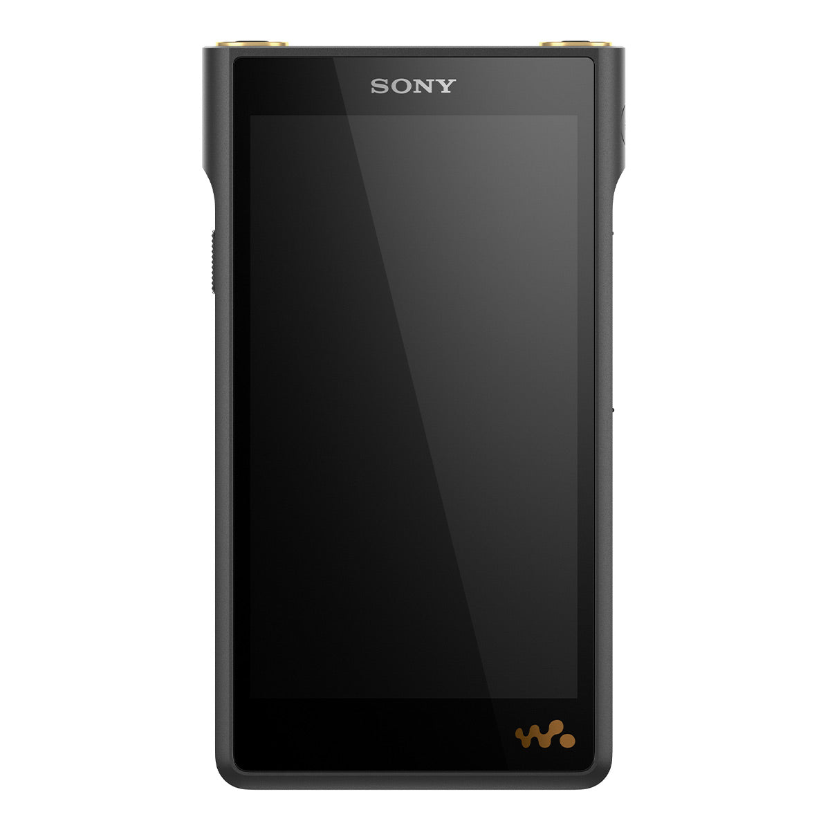 Sony NW-WM1AM2 Walkman — Woo Audio