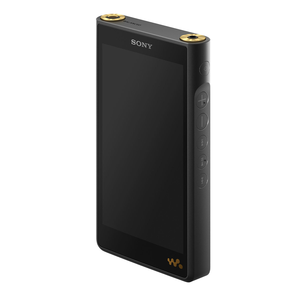 Sony NW-WM1AM2 128GB Walkman Digital Music Player