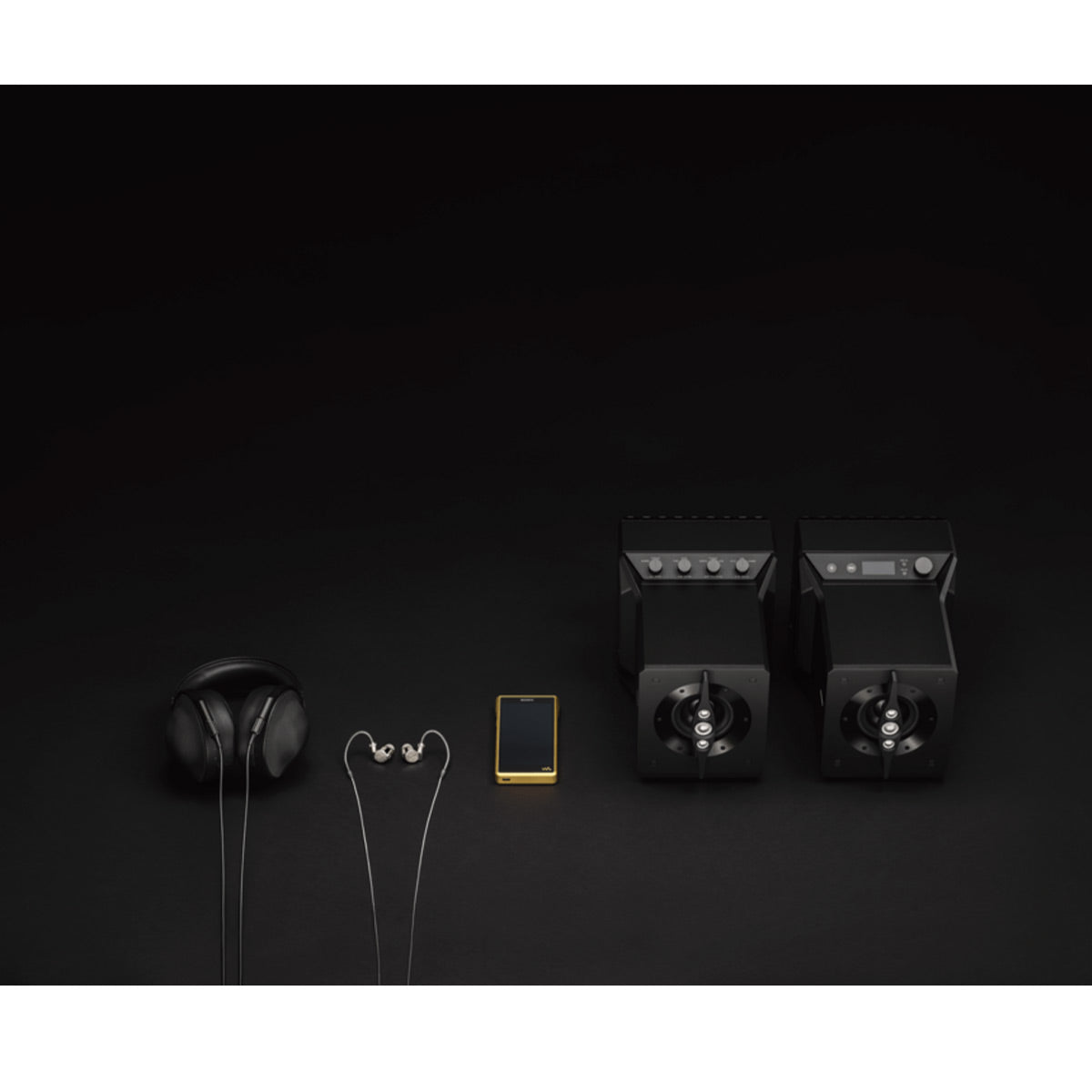 Sony NW-WM1ZM2 256GB Signature Series Premium Digital Music Player