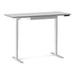 BDI Centro 6451-2 Height Adjustable Standing Desk (60"x24")