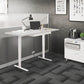 BDI Centro 6451-2 Height Adjustable Standing Desk (60"x24")