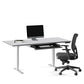 BDI Centro 6452-2 Height Adjustable Standing Desk (66"x30")