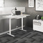 BDI Centro 6452-2 Height Adjustable Standing Desk (66"x30")