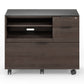 BDI Sigma 6917 Multifunction Cabinet (Sepia)