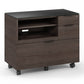 BDI Sigma 6917 Multifunction Cabinet (Sepia)