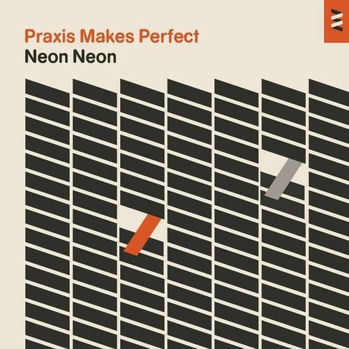 Praxis Makes Perfect - Vinyl LP
