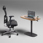 BDI Soma 6331 Compact Lift Desk (Natural Walnut)