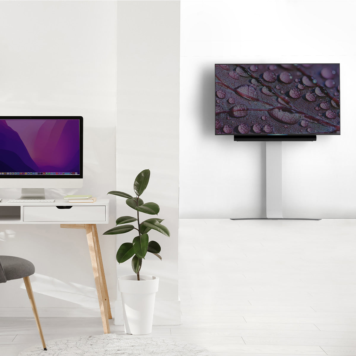 Salamander Acadia X-Large Fixed Height Wall Stand for 40" - 85" TV