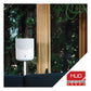 Bluesound PULSE M Compact Wireless Multi-Room Music Streaming Speaker (White)
