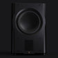 Perlisten Audio R210s 10" Subwoofer with LCD Touchscreen Display (Piano Black)