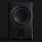 Perlisten Audio R210s 10" Subwoofer with LCD Touchscreen Display (Piano Black)