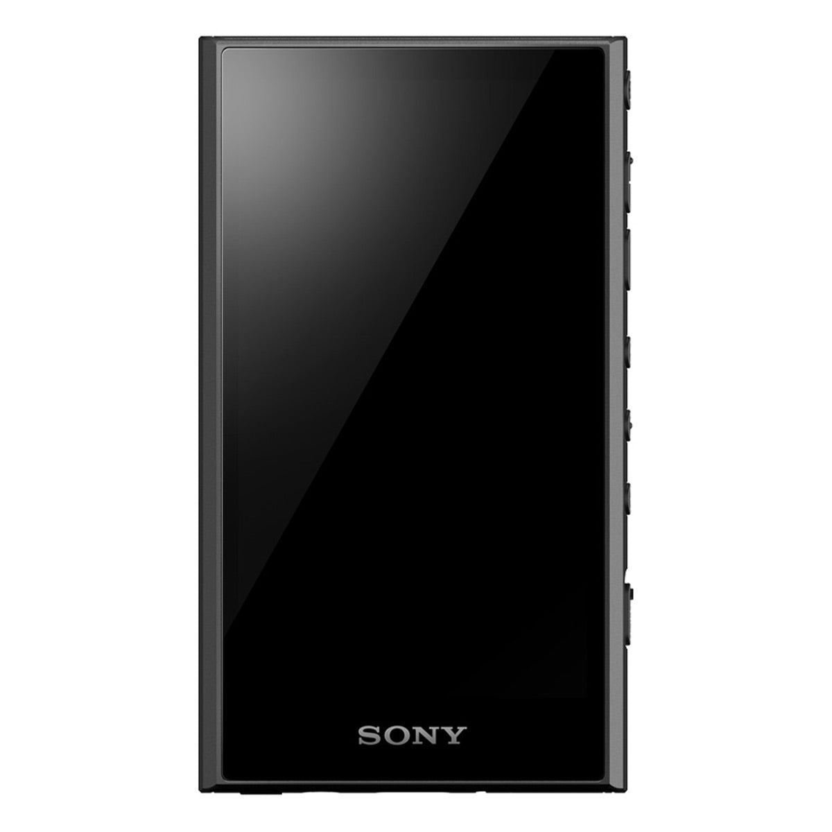 Sony NW-A306 Walkman A Series Hi-Res Digital Music Player with WiFi, Bluetooth, & Expandable Storage