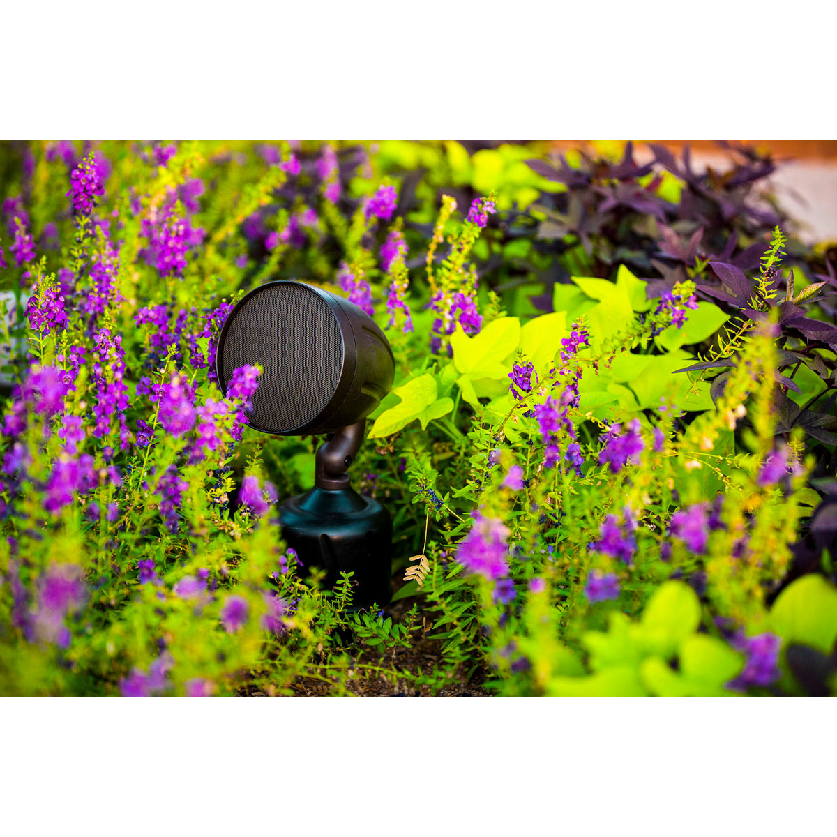Rockustics Cherry Bomb 5" 3-way Outdoor In-Ground Speaker with Built-In Subwoofer (Pair) with AMP Wireless Hi-Fi Player