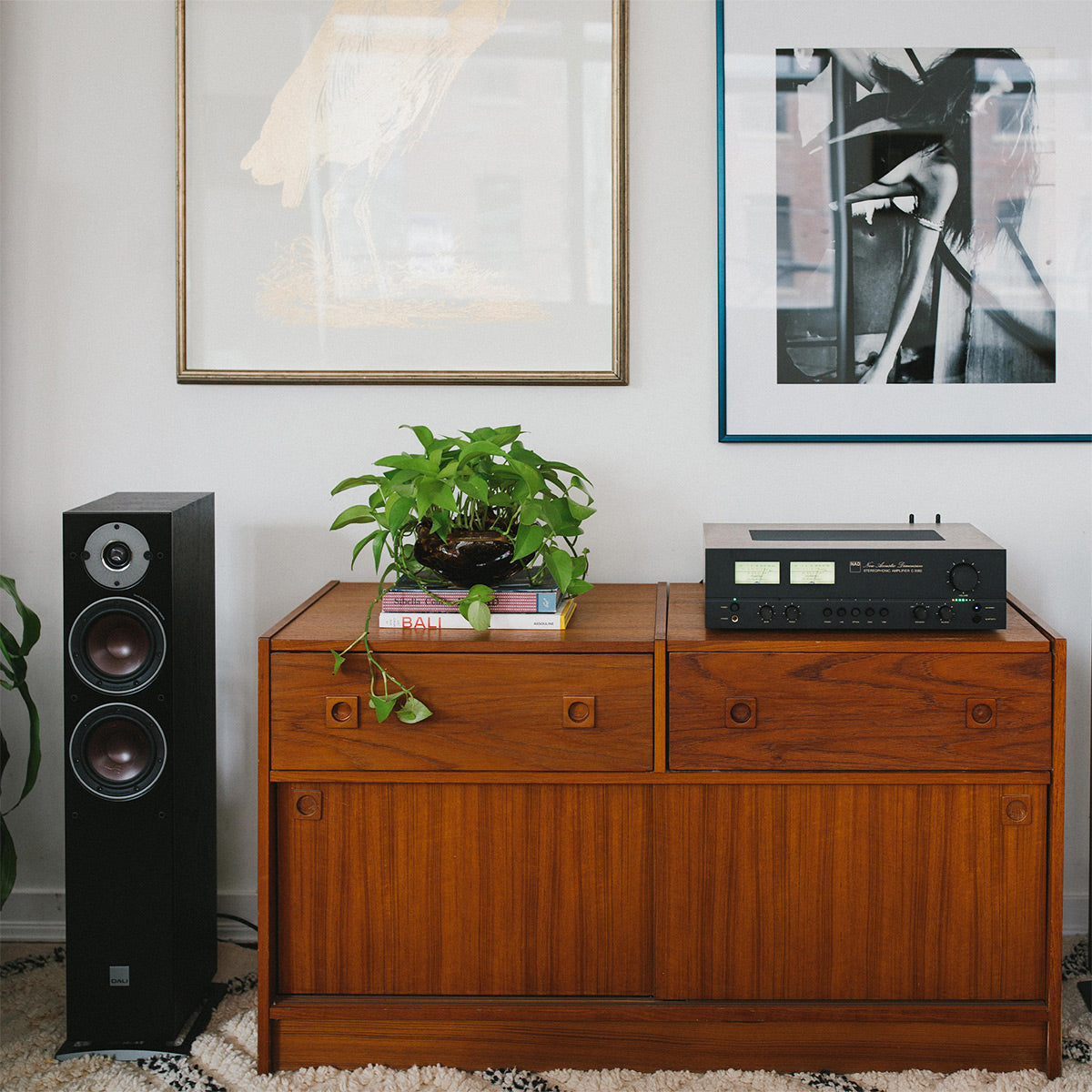 NAD Electronics C 3050 HybridDigital Stereophonic Amplifier with MDC2 BluOS-D Card Installed