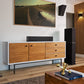 Definitive Technology Dymension DM20 Slim Center Channel Speaker