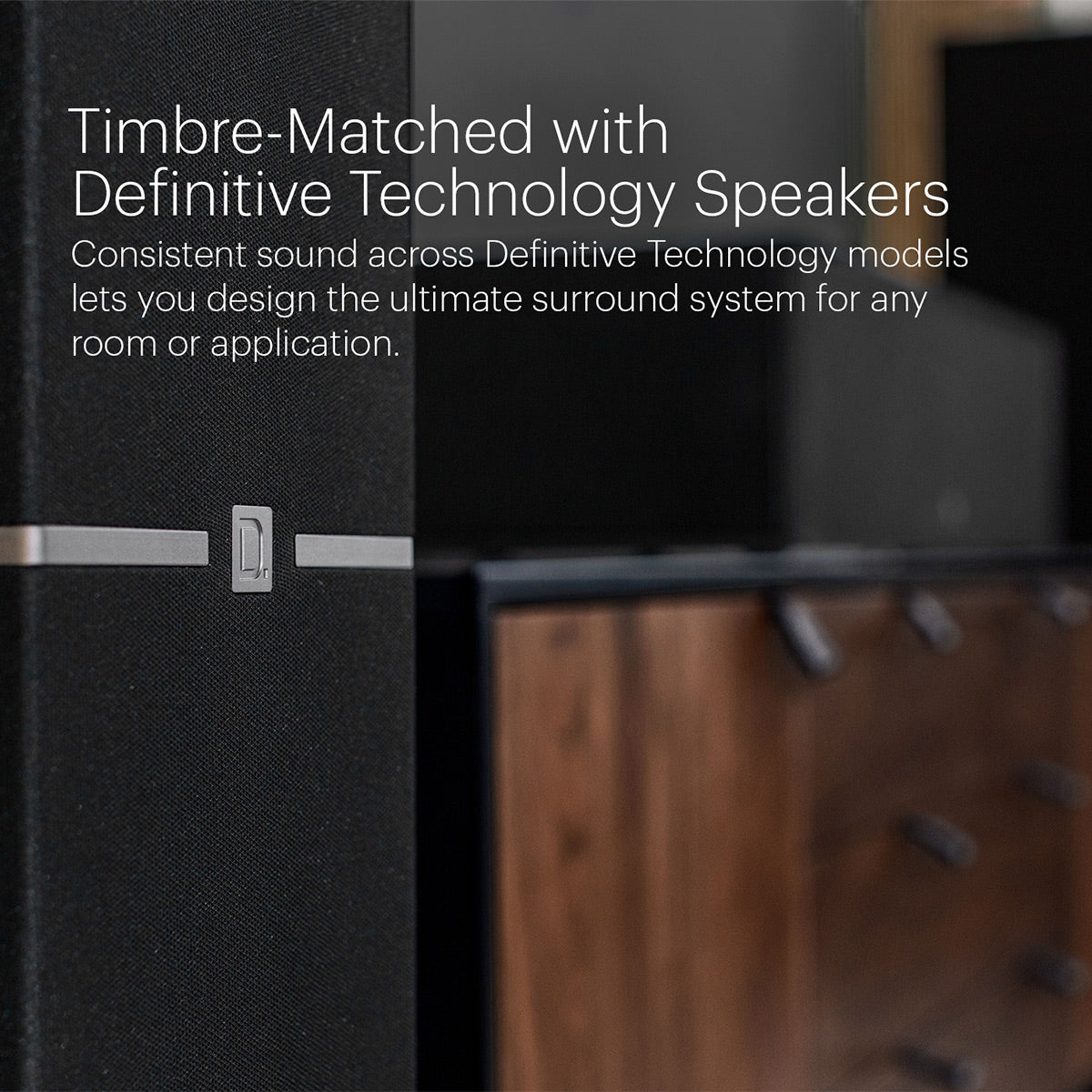 Definitive Technology Dymension DM20 Slim Center Channel Speaker