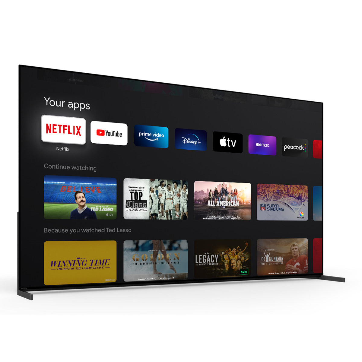 Sony XR55A95L 55" BRAVIA XR 4K HDR QD-OLED with Google TV (2023)