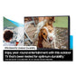 Samsung QN85LST9CA 85" The Terrace Full Sun Outdoor QLED 4K Smart TV
