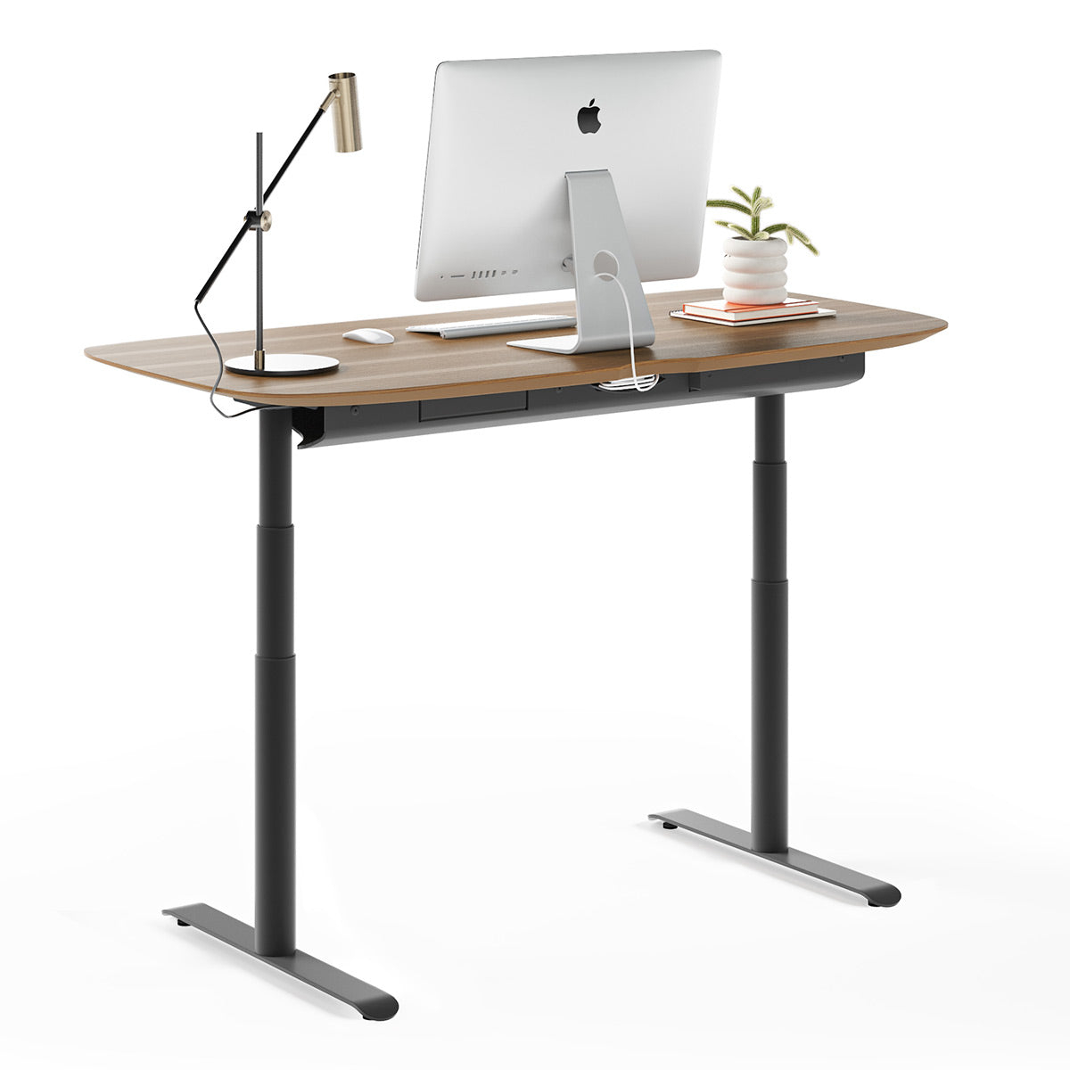 BDI Soma 6351 60" Wide Adjustable Standing Desk (Natural Walnut)