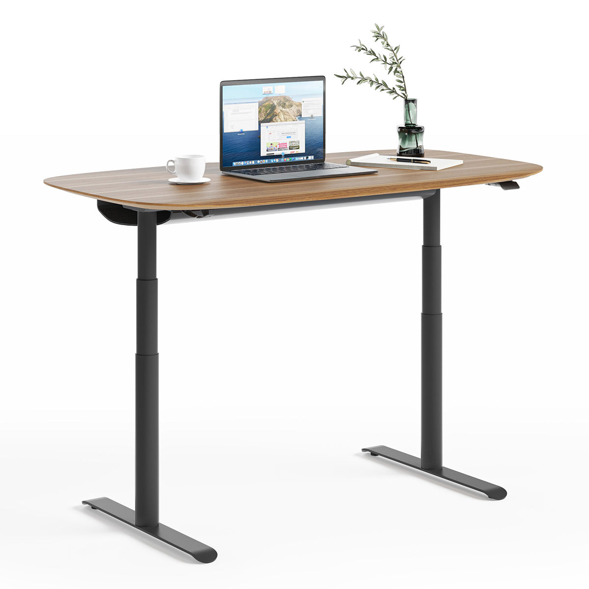 BDI Soma 6351 60" Wide Adjustable Standing Desk (Natural Walnut)