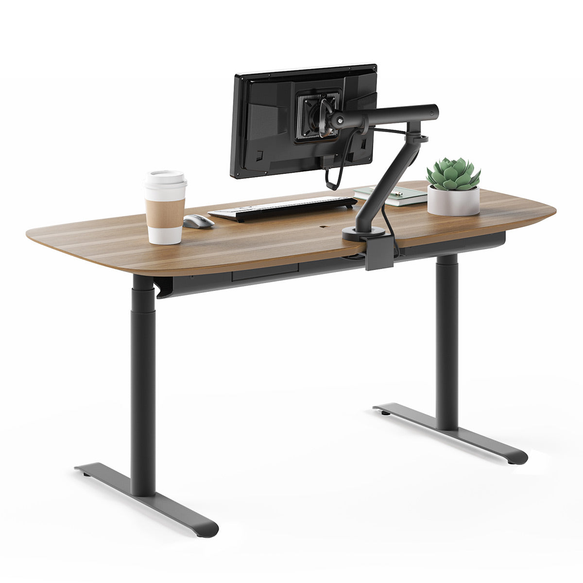 BDI Soma 6351 60" Wide Adjustable Standing Desk (Natural Walnut)