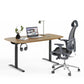 BDI Soma 6351 60" Wide Adjustable Standing Desk (Natural Walnut)