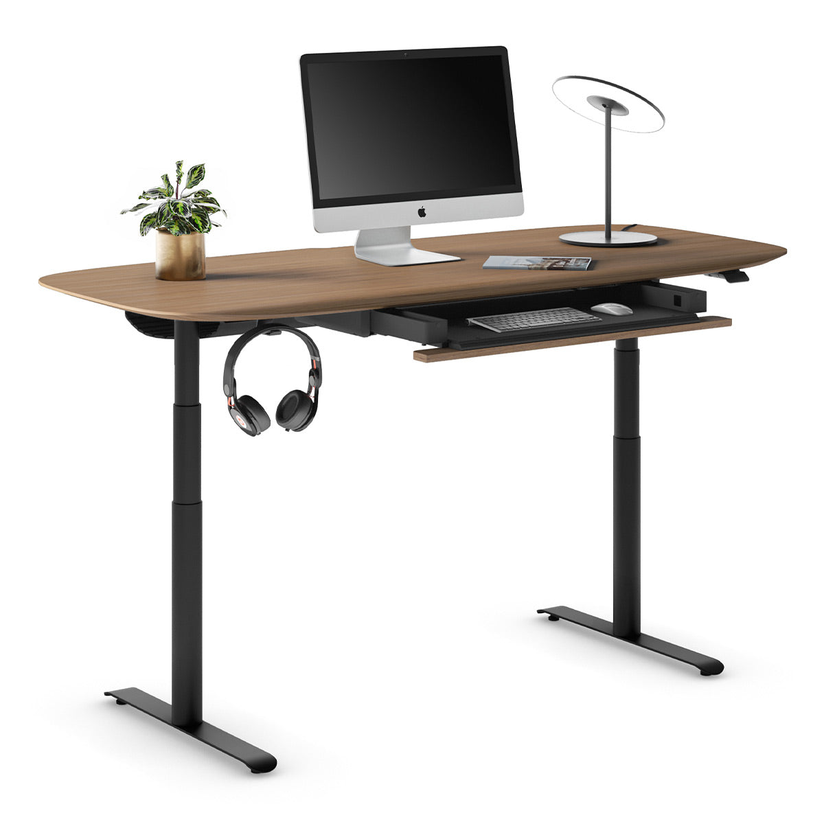 BDI Soma 6352 72" Wide Adjustable Standing Desk (Natural Walnut)